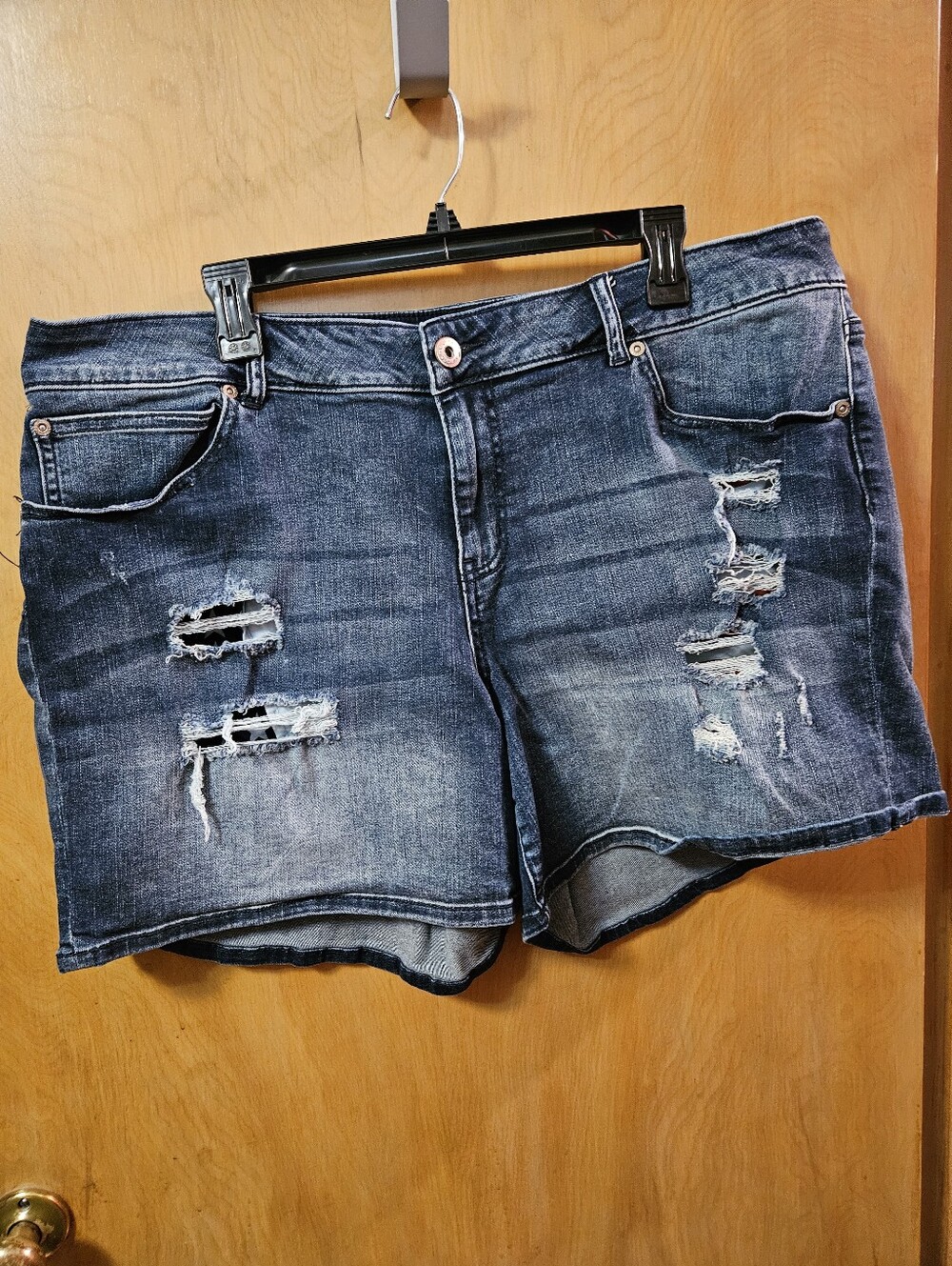 Maurices Shorts Size 22